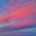 Flamingo clouds