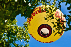 SPRING FESTIVAL BALLOON MEETING AT STUTTGART