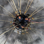 DCIM\Camera01\IMG_20260228_094947_00_008.ins